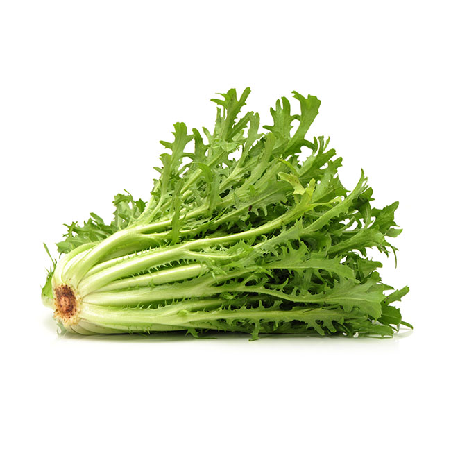 Curly endive