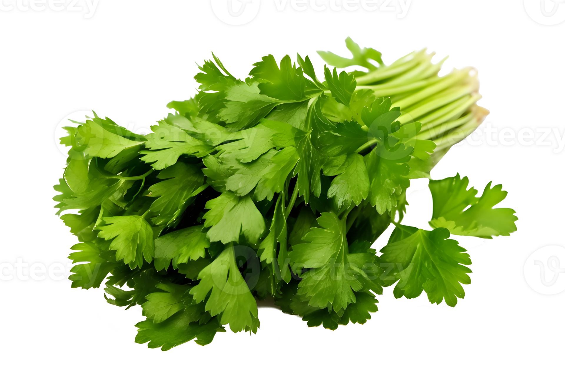 Flat parsley