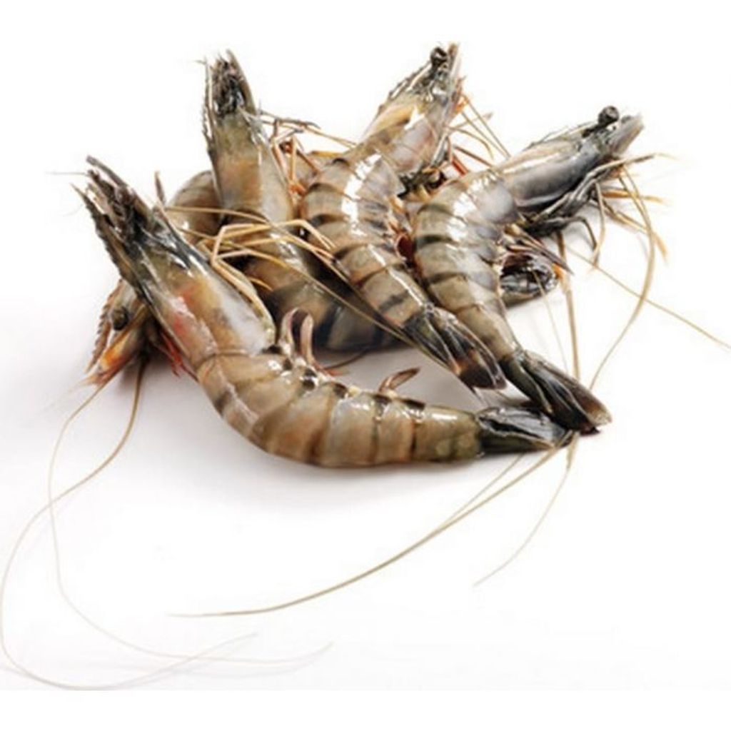 Frozen head on raw tiger prawn