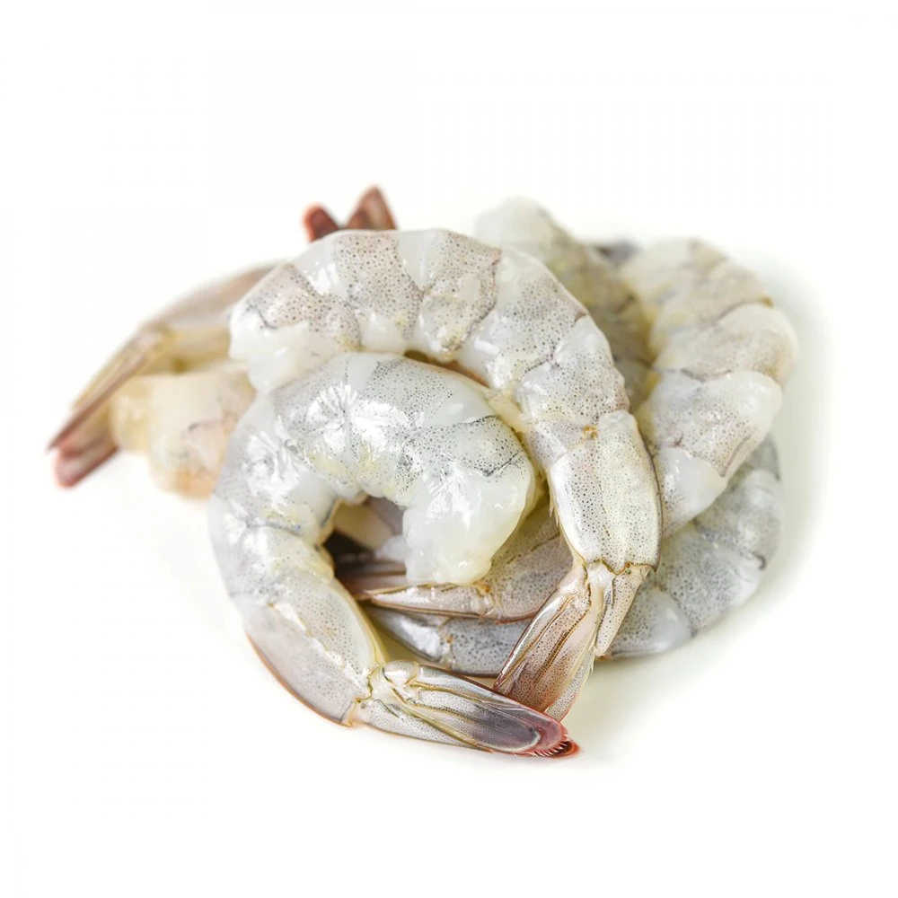 Frozen peeled tail on raw tiger prawn
