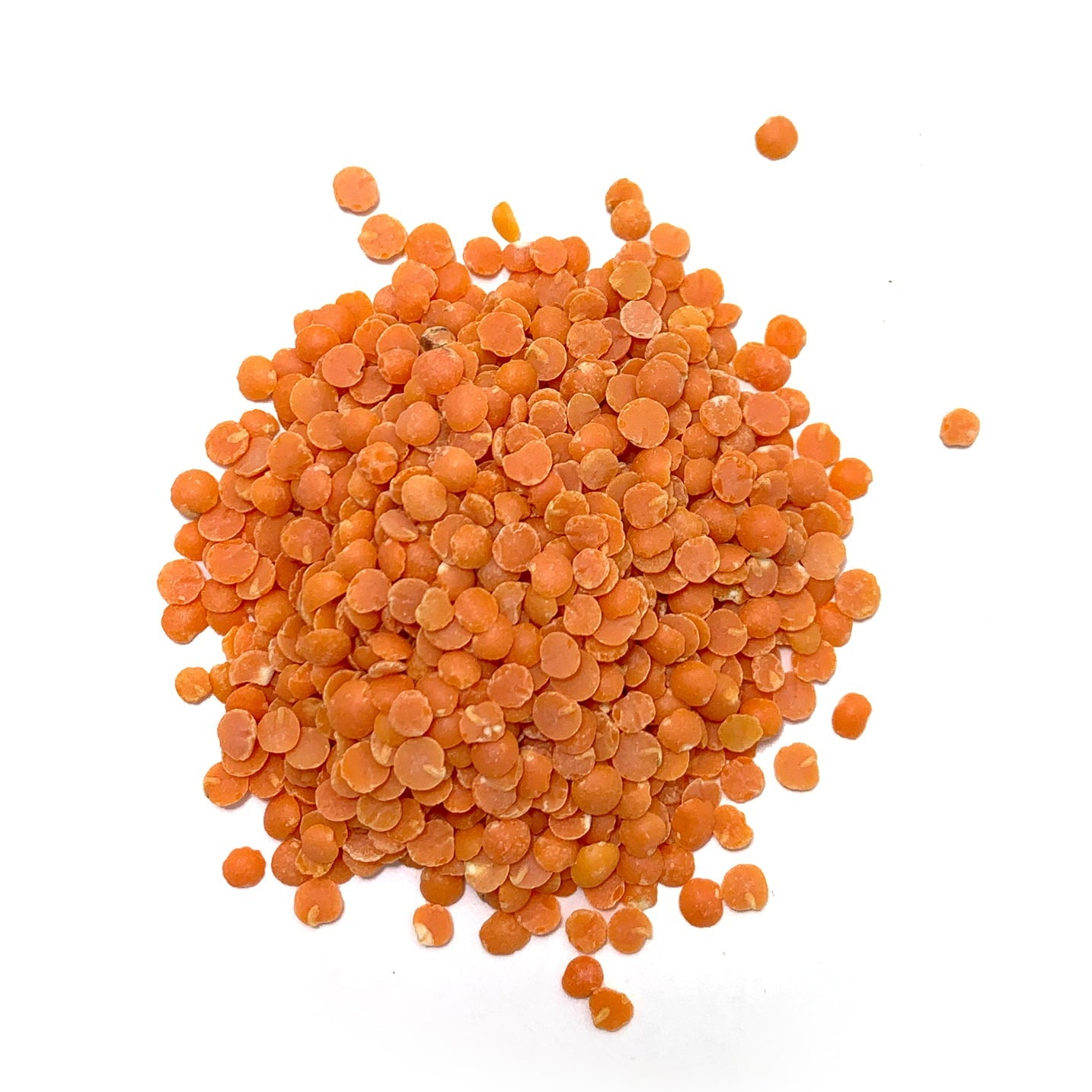 Red split lentils
