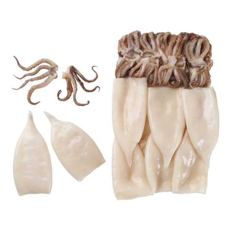 Frozen calamari tubes and tentacles
