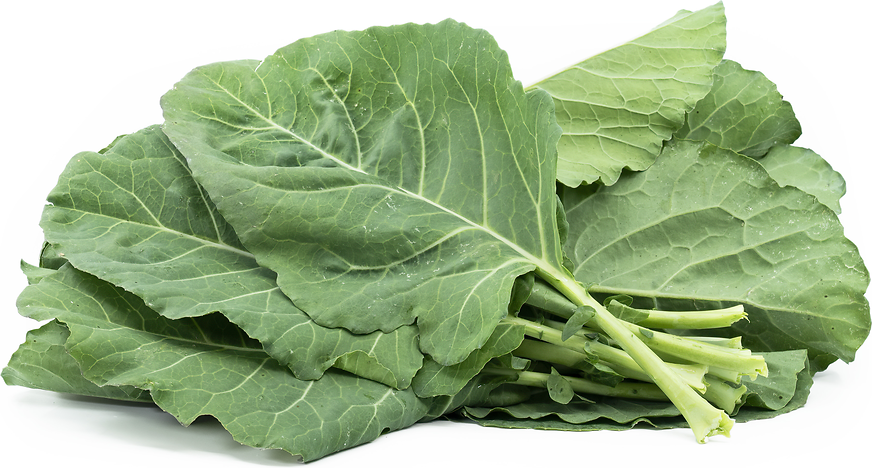 Green collard