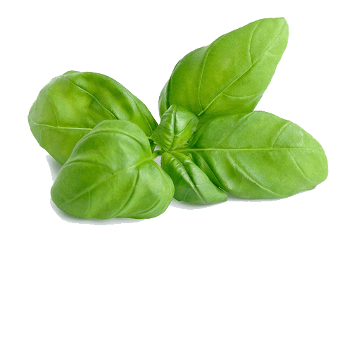 Basilic coupé surgelé