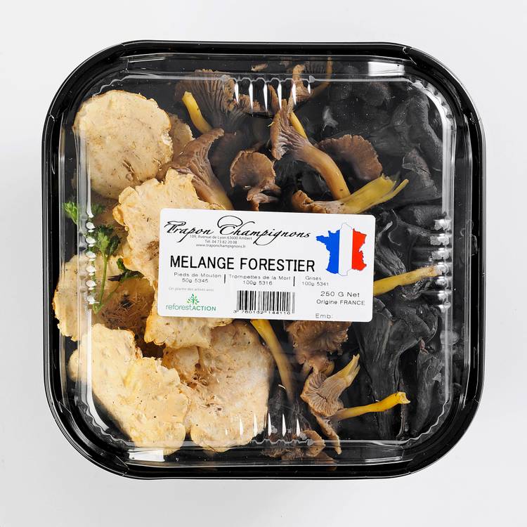 Champignon forestier Français