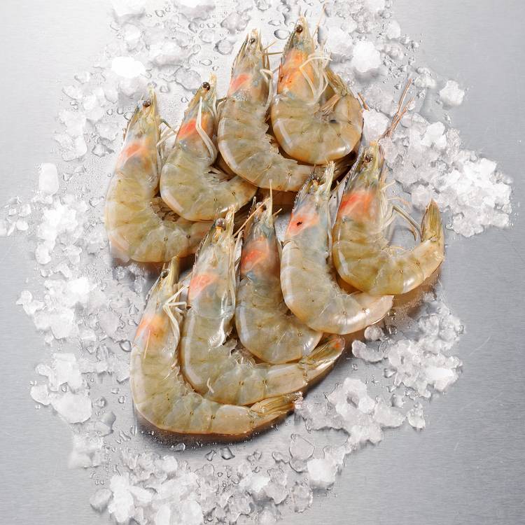Crevette crue sauvage surgelé