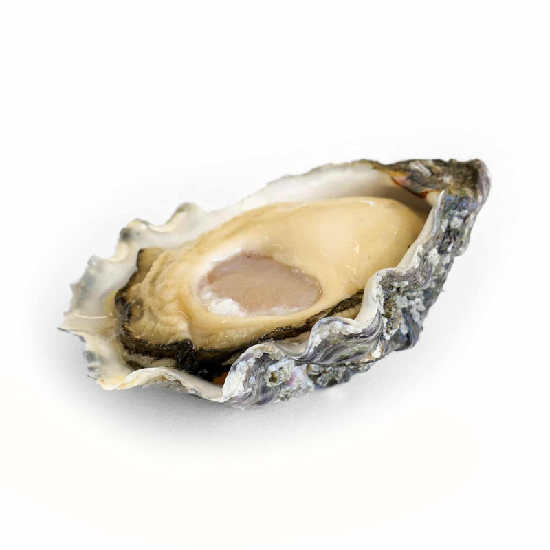 Huitre étoile Kys N°3