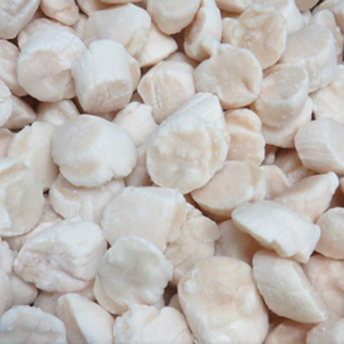 Noix saint jacques sans corail congelé